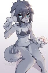  ahoge animal_ears arm_up artist_name bare_shoulders barefoot black_hair blue_eyes blush body_fur bra breasts checkerboard_cookie cleavage closed_mouth coffeechicken collarbone commentary cookie dog_ears dog_girl dog_tail eating english_commentary female food furry furry_female gradient_background grey_bra grey_fur grey_pants grey_theme highres holding holding_cookie holding_food looking_at_viewer mouth_hold navel original outline panties pants patreon_username polka_dot polka_dot_bra polka_dot_panties short_hair side-tie_panties sidelocks simple_background sitting small_breasts solo stomach string_panties tail two-tone_fur underwear underwear_only v-shaped_eyebrows watermark white_background 