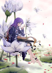  absurdres aka_ringo anklet azuma_syoujuan barefoot cape crossed_legs dress error feet feet_in_water female female flower full_body gradient_hair highres hijiri_byakuren jewelry legs_crossed long_hair lotus minigirl multicolored_hair nature outdoors petals pun purple_eyes sitting sky soaking_feet solo touhou violet_eyes water 