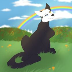  1:1 ambiguous_gender black_body dizzy_(dizzymilky) domestic_cat felid feline felis feral field grass grass_field heterochromia hi_res mammal nauticalcanine plant rainbow sitting solo 