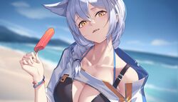  animal_ears arknights bangs beach bikini black_bikini blue_sky blurry blurry_background blush braid breasts cleavage collarbone commentary day depth_of_field female food hair_over_shoulder highres holding holding_food large_breasts long_hair looking_at_viewer nian off_shoulder official_alternate_costume outdoors parted_lips popsicle provence_(arknights) provence_(casual_vacation)_(arknights) short_sleeves silver_hair single_bare_shoulder single_braid sky smile solo swimsuit wolf_ears wristband 