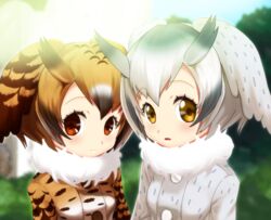  2girls black_hair bloom blue_sky blurry blurry_background brown_hair bush closed_mouth coat commentary_request day depth_of_field eurasian_eagle_owl_(kemono_friends) expressionless fur_trim gradient_hair grey_hair hair_between_eyes head_wings junshi_(junbox) kemono_friends looking_at_viewer multicolored_hair multiple_girls northern_white-faced_owl_(kemono_friends) outdoors parted_lips short_hair sky streaked_hair sunlight tree white_hair wings 