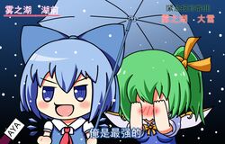  2girls blue_eyes blue_hair blush bow chibi chinese_text cirno commentary_request covering_face daiyousei dress embarrassed green_hair hair_ribbon hairbow holding holding_umbrella interview long_hair meme microphone multiple_girls open_mouth parody ribbon shared_umbrella short_hair side_ponytail special_feeling_(meme) symbol-shaped_pupils touhou translated umbrella wings woofey 