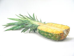  bad_id bad_pixiv_id food food_focus fruit narotake no_humans original pineapple realistic simple_background still_life traditional_media white_background 