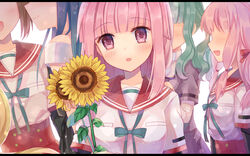  6+girls :d bad_id bad_pixiv_id blue_hair blunt_bangs blush bow brown_hair closed_mouth collarbone commentary_request faceless faceless_female flower futaba_sana green_bow green_hair holding holding_flower kamihama_university_affiliated_school_uniform layered_sleeves letterboxed long_hair long_sleeves looking_at_viewer magia_record:_mahou_shoujo_madoka_magica_gaiden mahou_shoujo_madoka_magica mitsuki_felicia mizuna_girls&#039;_academy_school_uniform multi-tied_hair multiple_girls nanami_yachiyo open_mouth parted_lips pink_hair pleated_skirt red_eyes red_sailor_collar red_skirt sailor_collar school_uniform serafuku shikino_(sikinonono) shirt short_over_long_sleeves short_sleeves skirt smile solo_focus sunflower tamaki_iroha tamaki_ui upper_body white_shirt yellow_flower yui_tsuruno 