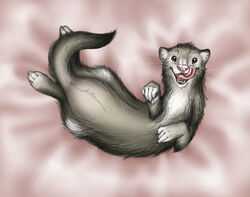 2009 ambiguous_gender anakuro digital_media_(artwork) domestic_ferret feral licking licking_lips licking_own_lips looking_at_viewer lying mammal mustelid musteline on_back open_mouth self_lick solo tail tongue tongue_out true_musteline weasel