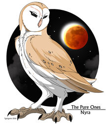 2010 ambiguous_gender artist_name avian barn_owl beak bird black_sky black_text cel_shading character_name cloud countershading detailed_background digital_drawing_(artwork) digital_media_(artwork) eclipse english_text facial_scar feathers feet feral full_moon guardians_of_ga&#039;hoole ignigeno moon night nyra_(gogh) owl scar scutes shaded sky solar_eclipse solo star starry_sky sun talons tan_body tan_feathers text toes tyto tytonid white_body white_feathers