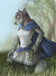 2010 anthro biped bracelet canid canine canis claws cloak clothed clothing cloud female fur green_eyes grey_body grey_fur hair janus jewelry kneeling looking_at_viewer mammal outside rukis shirt sky solo tail topwear tunic wolf