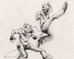 angry anthro canid canine canis claws clothing dragondrawer duo eye_patch eyewear fight fingerless_gloves fox fox_mccloud gloves handwear inks male mammal monochrome nintendo simple_background sketch star_fox tail violence white_background wolf wolf_o&#039;donnell