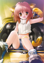  animal_ears goto_nao nekomimi tagme 