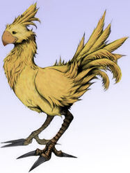 ambiguous_gender avian beak bird chocobo echoeternal feral final_fantasy low_res solo square_enix