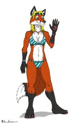 2012 ace_stryker anthro bikini biped black_nose blonde_hair blue_eyes canid canine clothed clothing eyewear female fox hair hi_res leg_markings mammal markings red_fox skimpy smile socks_(marking) solo standing sunglasses swimwear tail true_fox