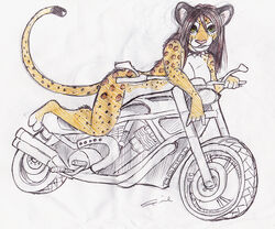 anthro breasts felid female leopard looking_at_viewer mammal motorcycle nude pantherine pinup pose shiverz sketch solo tail vehicle