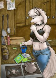 2010 anastasia_(kalahari) anthro appliance arctic_fox beverage biped blue_eyes book bottomwear breasts canid canine clothed clothing collar container cookie cup cupboard female food fox fully_clothed fur hair half-closed_eyes holding_container holding_cup holding_object inside kalahari kitchen kitchen_appliance mammal marker_(artwork) midriff narrowed_eyes navel oven pants shirt solo standing tail tank_top tea teapot topwear traditional_media_(artwork) true_fox white_body white_fur white_hair