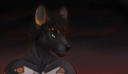 2012 african_wild_dog anthro artist_name black_body black_hair bust_portrait canid canine cashen clothed clothing countershading dated digital_media_(artwork) dog_tags fog gradient_background green_eyes hair jewelry looking_away male mammal metal necklace portrait shaded simple_background soft_shading solo sunset topless white_body white_countershading wyla year