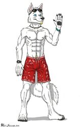 2012 abs ace_stryker anthro biceps blue_eyes bottomwear canid canine canis clothed clothing eyewear eyewear_on_head facial_hair fur gesture happy hi_res male mammal muscular muscular_anthro muscular_male nipples pecs pose shorts smile solo sunglasses sunglasses_on_head swimming_trunks swimwear tail topless waving white_body white_fur wolf