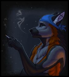 2012 anthro bandana black_border border canid canine cigarette clothing ear_piercing fox grey_fox kerchief male mammal night outside piercing smoke smoking solo spottyjaguar tanner_james urocyon