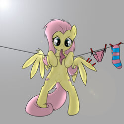 1:1 clothing cutie_mark equid equine feathered_wings feathers female feral fluttershy_(mlp) footwear friendship_is_magic hasbro legwear mammal my_little_pony mythological_creature mythological_equine mythology panties pegasus rainbow_(artist) simple_background socks solo underwear white_background wings yellow_body yellow_feathers