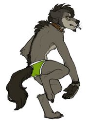 anthro briefs canid canine canis cigarette clothed clothing collar cubi cubi_(characters) cubi_(wolf) facial_piercing looking_at_viewer looking_back male mammal mythological_canine mythological_creature mythology nose_piercing nose_ring piercing ring_piercing septum_piercing smoke smoking solo topless underwear were werecanid werecanine werewolf wolf