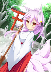 animal_humanoid asian_clothing blush broom canid canid_humanoid canine canine_humanoid cleaning_tool clothing east_asian_clothing female fox fox_humanoid hair hi_res humanoid japanese_clothing kazamatsuri_kazari long_hair looking_at_viewer mammal mammal_humanoid mikomiko_masimaro multi_tail plant purple_hair shinto_shrine shrine smile solo tail torii tree