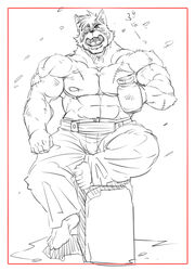 abs alcohol anthro beer beverage biceps big_muscles border dandoo dard drakuun drunk eye_patch eyewear felid food fur male mammal markings muscular muscular_anthro muscular_male nipples pantherine pecs scar solo substance_intoxication tiger white_border