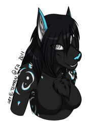 2011 anthro arm_markings black_body black_fur black_hair blue_markings blue_nose breasts canid canine chest_tuft female fur grey_eyes hair mammal markings simple_background solo temrin tuft white_background white_markings