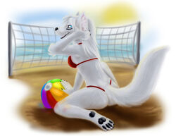 2011 anthro ball beach beach_ball beach_volleyball bikini black_nose blue_eyes canid canine canis cleo_(yutrah) clothed clothing digital_media_(artwork) domestic_dog female fur hair inflatable mammal net open_mouth outside pool_toy prick_ears sand seaside skimpy solo sun swimwear temrin tight_clothing volleyball_(ball) volleyball_net white_body white_fur white_hair