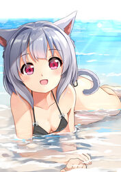  :d absurdres animal_ear_fluff animal_ears bare_arms bare_legs bare_shoulders barefoot bikini black_bikini blush bow breasts cat_ears cat_girl cat_tail cleavage commentary_request day female grey_hair highres looking_at_viewer open_mouth original outdoors red_eyes shallow_water side-tie_bikini_bottom small_breasts smile solo sora_(silent_square) swimsuit tail tsugumi-chan_(sora) water white_bow 