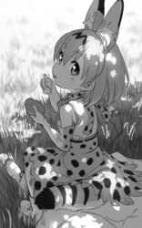  animal_ears commentary_request eating female food greyscale japari_bun kemono_friends kinosuke_(sositeimanoga) looking_at_viewer looking_up monochrome serval_(kemono_friends) serval_print solo tongue tongue_out 