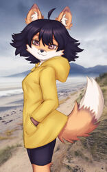  anthro astra_maple canid canine clothing coastline coat elronya female fox hi_res mammal outside raincoat seashore solo topwear 