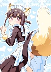  animal_ear_fluff animal_ears blue_background blue_hair blunt_bangs brown_eyes brown_hair clothes_lift commentary female fox_ears fox_girl fox_tail frills from_behind heart highres hozuki_momiji inconvenient_tail kemonomimi_mode large_tail long_sleeves looking_at_viewer looking_back maid maid_headdress multicolored_hair nuurise2023 official_alternate_costume onii-chan_wa_oshimai! outline pom_pom_(clothes) short_hair short_ponytail simple_background skirt skirt_lift solo tail tail_under_clothes two-tone_hair wavy_mouth white_outline 