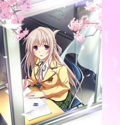  :d blue_eyes blush cherry_blossoms curtains desk eraser female game_cg gray_hair grey_hair hatsukoi_1/1 hatsukoi_1_1 iizuki_tasuku long_hair makabe_midori notepad open_mouth purple_eyes school_uniform serafuku smile window 