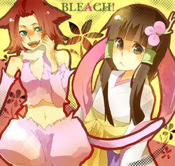  2girls bleach bleach:_zanpakutou_ibun_hen haineko kotoma multiple_girls tobiume 