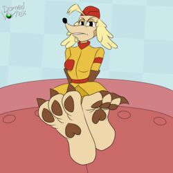  1:1 3_toes animated anthro barefoot brown_pawpads canid canine canis claws crossed_ankles cuphead_(game) curling_toes domedvortex domestic_dog feet female foot_fetish foot_focus hindpaw hunting_dog looking_at_viewer mammal pawpads paws saluki sgt._o&#039;fera_(cuphead) short_playtime sighthound soles solo toe_claws toe_wiggle toes 