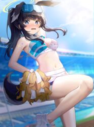  animal_ears bare_arms bare_legs bare_shoulders black_hair blue_archive blue_eyes blue_sky blurry blurry_background blush breasts cheerleader commentary day depth_of_field dog_ears dog_girl dog_tail doggo34476335 eyewear_on_head female goggles goggles_on_head halo hibiki_(blue_archive) hibiki_(cheer_squad)_(blue_archive) highres holding holding_pom_poms long_hair looking_at_viewer medium_breasts midriff millennium_cheerleader_outfit_(blue_archive) miniskirt navel official_alternate_costume open_mouth outdoors pom_pom_(cheerleading) ponytail shoes skirt sky sneakers solo stadium standing standing_on_one_leg star_sticker sticker_on_arm sticker_on_face sunglasses tail thighs white_skirt yellow_halo 