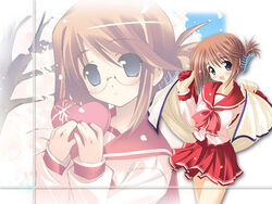  2000s_(style) :d artist_request blue_eyes blush box breasts cherry_blossoms claw_hair_clip closed_mouth cloth day female folded_ponytail gift gift_box glasses heart-shaped_box holding holding_cloth holding_gift komaki_manaka long_sleeves looking_at_viewer neckerchief outdoors pleated_skirt projected_inset red_neckerchief red_sailor_collar red_skirt ribbon round_eyewear sailor_collar school_uniform shirt shy single_stripe skirt sleeve_cuffs smile striped tareme to_heart_(series) to_heart_2 tree upper_body white_ribbon white_shirt white_stripes 