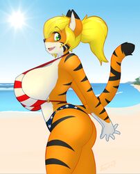  absurd_res anthro beach big_breasts bikini breasts clothing day felid female hair hi_res huge_breasts mammal pantherine ponytail seaside smile solo sun swimwear tabykat tabytha_starling tiger 