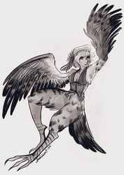  2019 anthro avian breasts clothing european_mythology feathered_wings feathers feet female greek_mythology harpy hat headgear headwear hi_res looking_up mythological_avian mythological_creature mythology nakitacat naturally_censored simple_background solo talons toes transformation white_background wings 