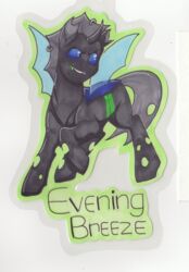  absurd_res arthropod badge black_body blue_eyes changeling evening_breeze exoskeleton facial_scar feral friendship_is_magic hasbro hi_res hole_(anatomy) hooves insect_wings male my_little_pony piercing quadruped scar solo unknown_artist wings 