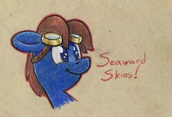  blue_body blue_eyes brown_hair equid equine eyewear eyewear_on_head fan_character flowbish goggles goggles_on_head hair hasbro hi_res male mammal mane my_little_pony mythological_creature mythological_equine mythology pegasus seaward_skies solo wings 