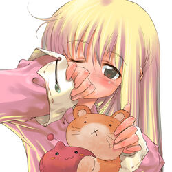  :3 ;o absurdres blonde_hair blush brown_eyes covering_own_mouth doll female hamster highres long_sleeves looking_at_viewer morii_shizuki one_eye_closed pajamas parted_lips photoshop_(medium) poring ragnarok_online simple_background sleepy solo stuffed_animal stuffed_hamster stuffed_toy upper_body whiskers white_background 