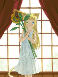  animal_ears cat_ears dress female flower heterochromia original photoshop_(medium) solo sunflower yousisi 