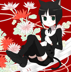  :&lt; animal_ears b-ginga bad_id bad_pixiv_id black_hair blunt_bangs cat_ears cat_tail cat_teaser chrysanthemum female flower green_eyes jikkyou_powerful_pro_yakyuu power_pro_kun_pocket power_pro_kun_pocket_7 red_background ringed_eyes serizawa_mao shoe_soles short_hair simple_background sitting solo star-shaped_pupils star_(symbol) symbol-shaped_pupils tail thighhighs zettai_ryouiki 