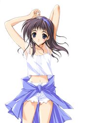  blue_eyes blush brown_hair camisole comic_party cowboy_shot female hairband highres long_hair midriff navel sakurai_asahi shorts solo stretching suzuhira_hiro white_shorts 