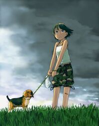  bandaid bandaid_on_knee bandaid_on_leg beagle camouflage canine cloud cloudy_sky commentary_request dark_clouds female grass green_eyes green_hair leash naotan nature original outdoors pet_walking short_hair sky solo thigh_shorts 