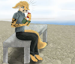  anthro autumn beach bench beverage book can canid canine cloud container fennec_fox food fox male mammal on_bench outside relaxing rock rocky_shore seaside sky solo spiritd surprise tattoo tribal true_fox 