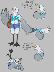  3:4 anthro avian bird black-legged_kittiwake bottomwear clothing crop_top digitigrade feather_hands feathers female grey_body grey_feathers gull hi_res kittiwake lari larid obscenecanary shirt shorts solo tail tail_feathers topwear white_body white_feathers 