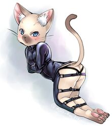  artist_request blue_eyes feline furry open_mouth strapped 