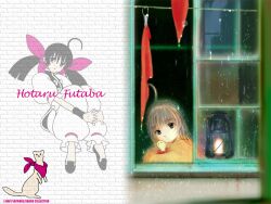  artist_request character_name fatal_fury female ferret from_outside futaba_hotaru garou:_mark_of_the_wolves itokatsu_(garou) lantern looking_outside low_twintails rain snk twintails window 