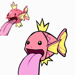  1:1 2022 ambiguous_gender animated digital_media_(artwork) feral fish flat_colors frame_by_frame fusion generation_1_pokemon hybrid lickitung magikarp marine nintendo pink_body pink_scales pink_tongue pokemon pokemon_(species) pokemon_fusion reference_image scales short_playtime simple_background solo thatguynamedjoe tongue tongue_out white_background 