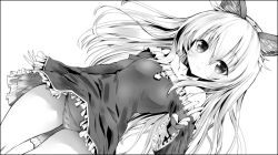  animal_ears bad_id bad_pixiv_id bare_shoulders border dutch_angle elin female flat_chest greyscale long_hair monochrome noto_kurumi panties pantyshot simple_background solo tera_online underwear upskirt v 